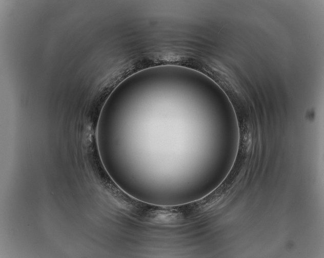 X0000090700555200707271111