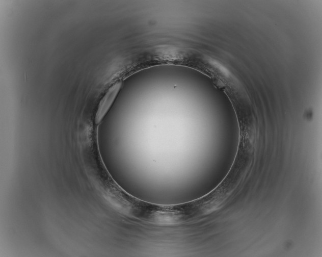 X0000090700556200707271111