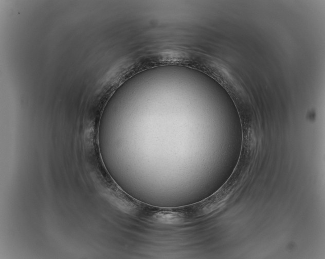 X0000090700557200707271111