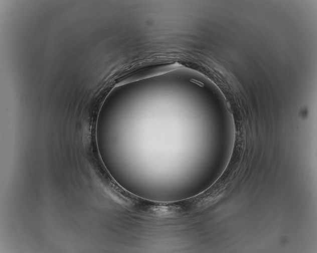 X0000090700558200707271111