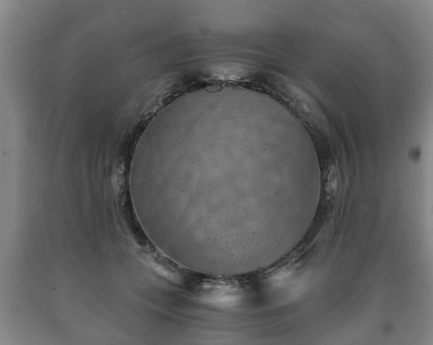 X0000090700559200707271111