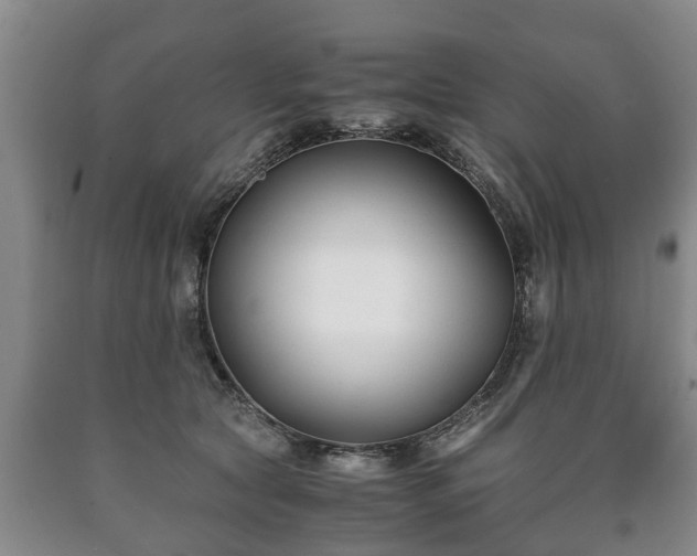 X0000090700561200707271111