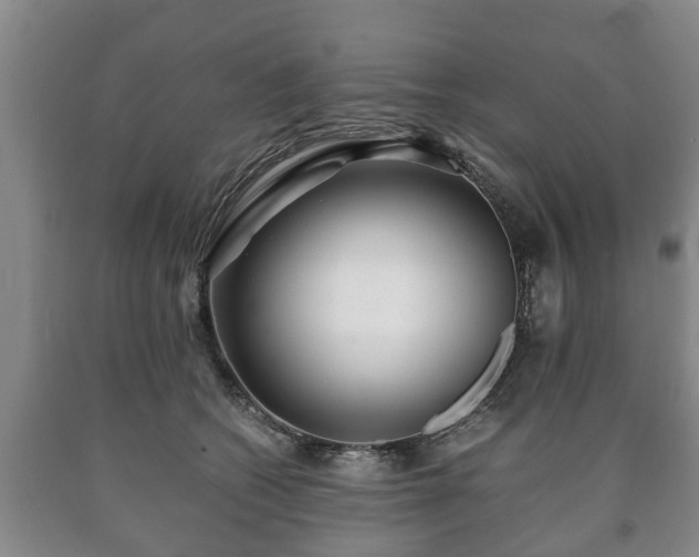 X0000090700562200707271111