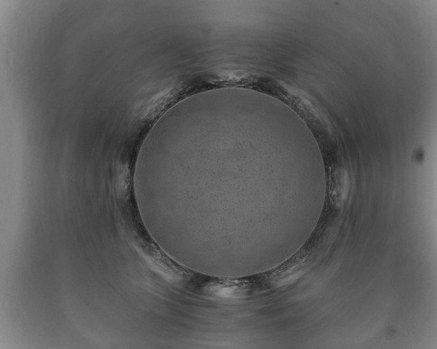 X0000090700563200707271111