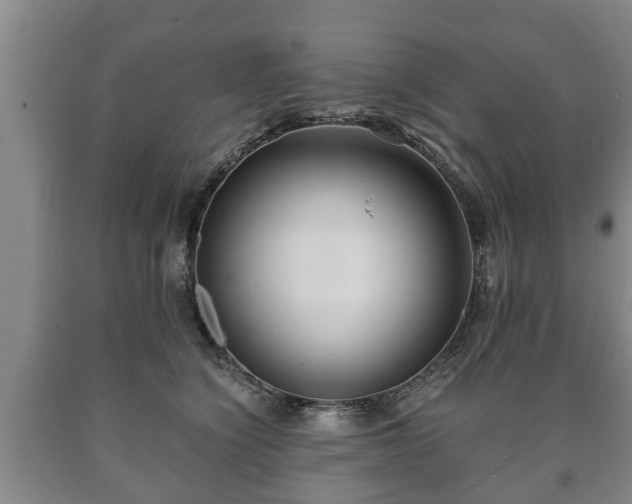 X0000090700564200707271111