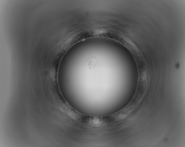 X0000090700565200707271111