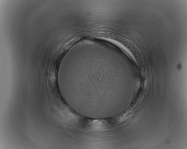 X0000090700566200707271111