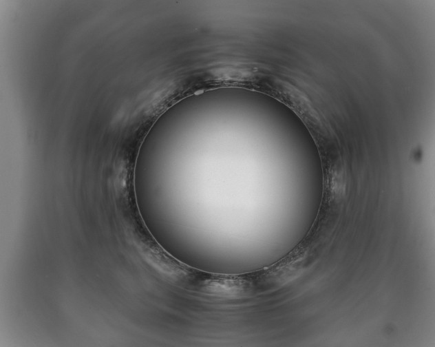 X0000090700567200707271111