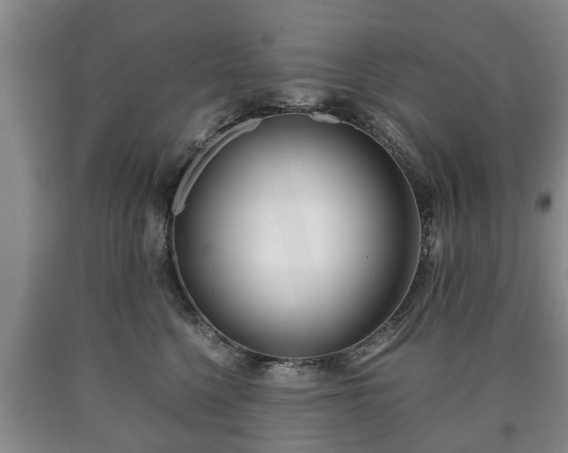 X0000090700568200707271111