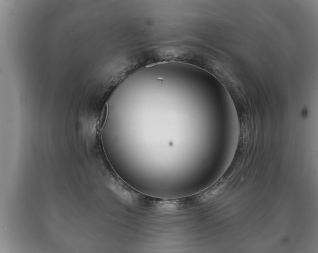 X0000090700574200707271111