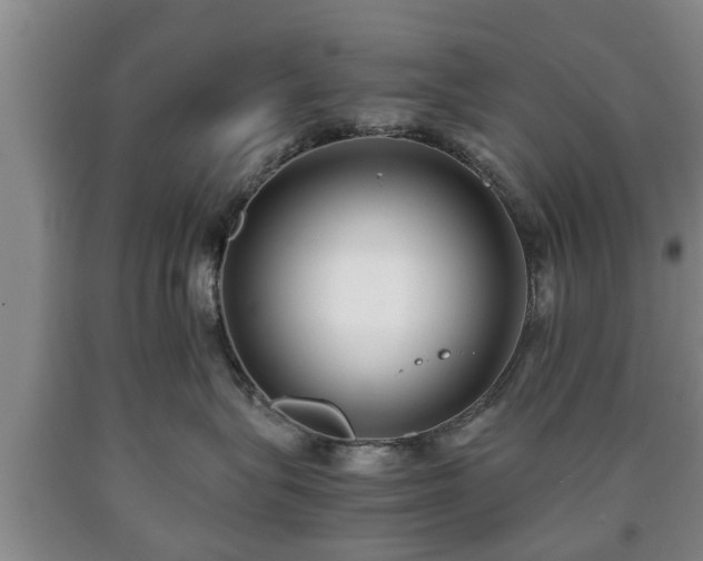 X0000090700575200707271111