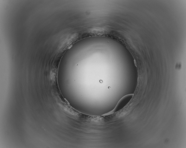 X0000090700576200707271111