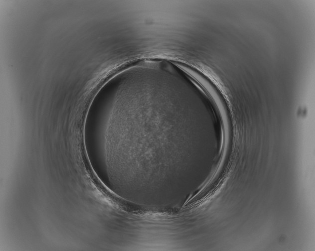 X0000090700577200707271111