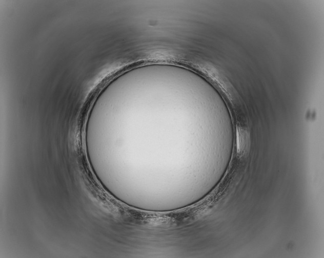 X0000090700579200707271111