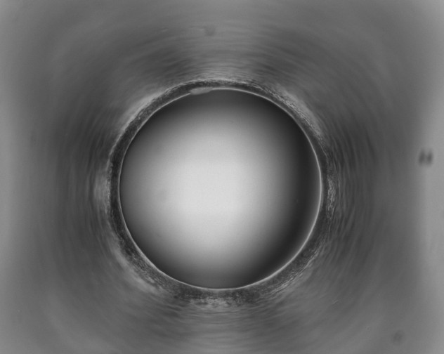 X0000090700580200707271110