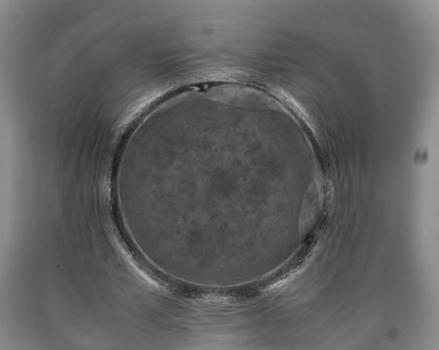 X0000090700581200707271110