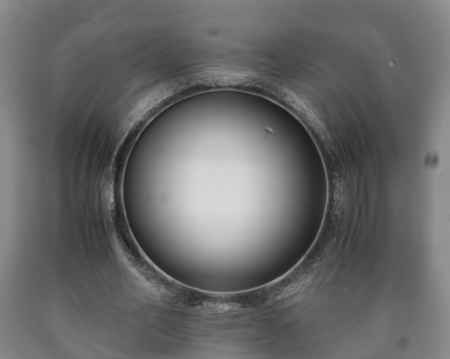 X0000090700582200707271110