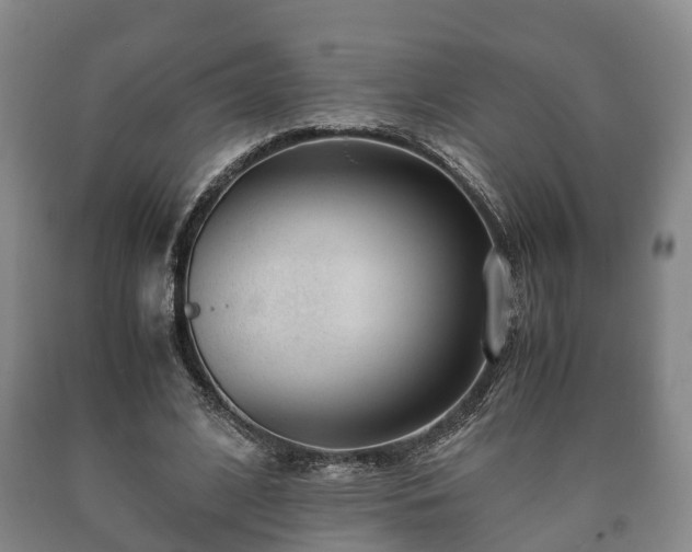 X0000090700584200707271110