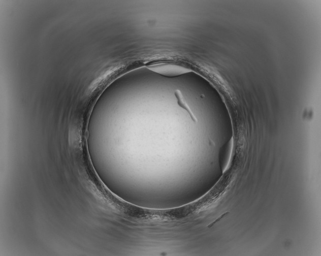 X0000090700585200707271110