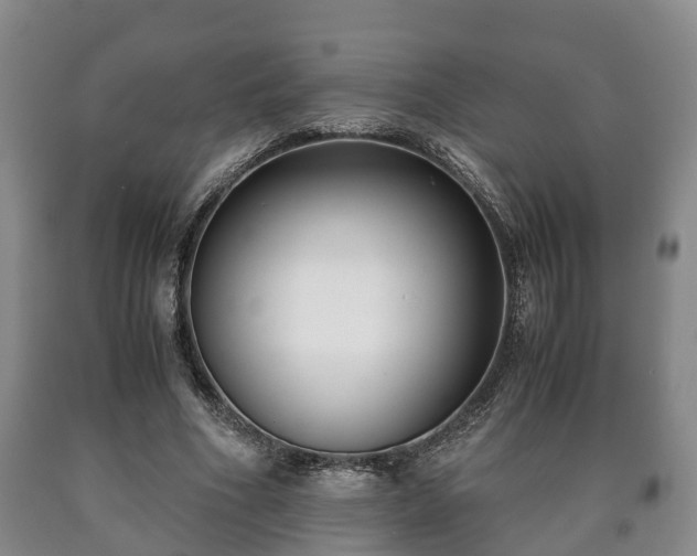 X0000090700586200707271110