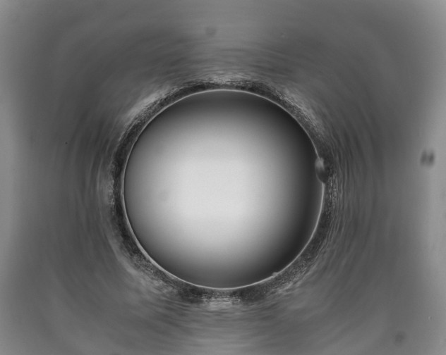 X0000090700587200707271110