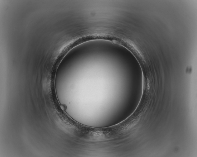 X0000090700588200707271110