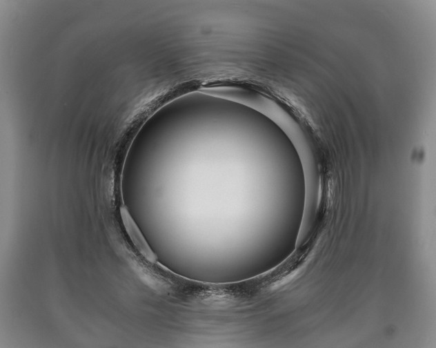 X0000090700589200707271110