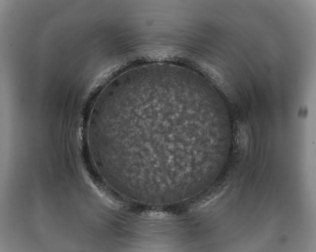 X0000090700590200707271110