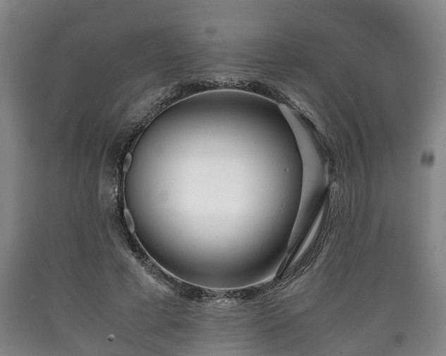 X0000090700593200707271110