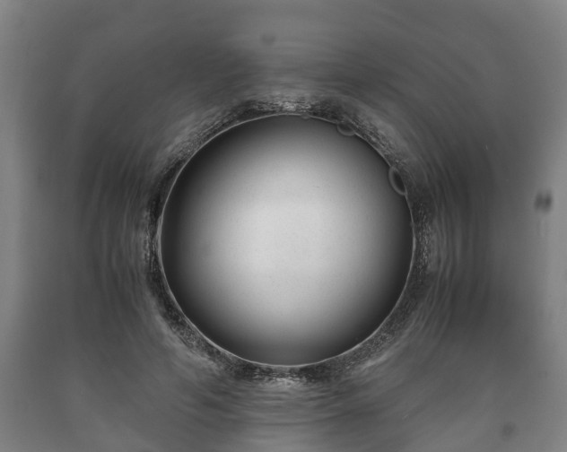 X0000090700594200707271110