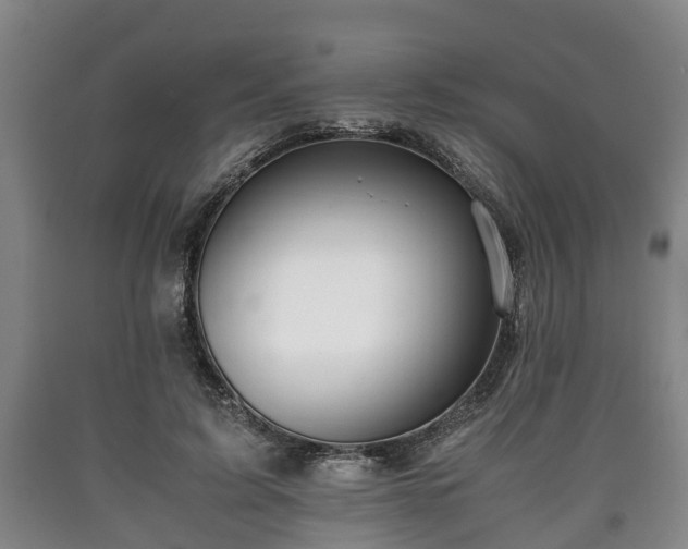 X0000090700595200707271110