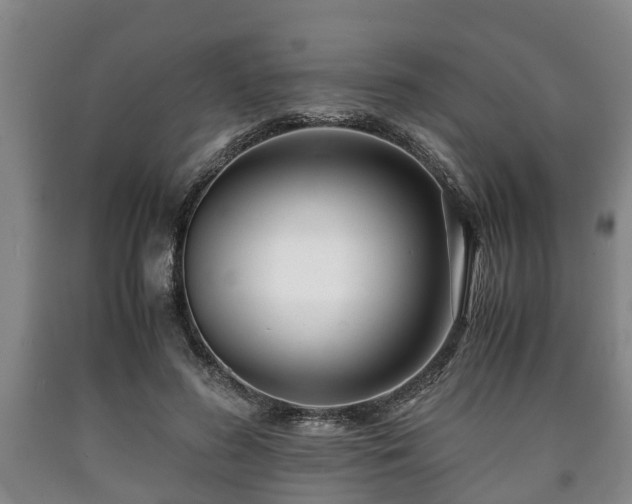 X0000090700596200707271110