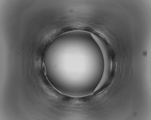 X0000090700597200707271110