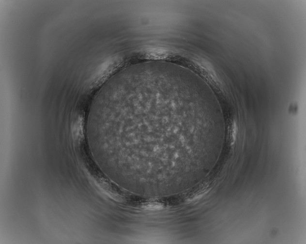 X0000090700598200707271110