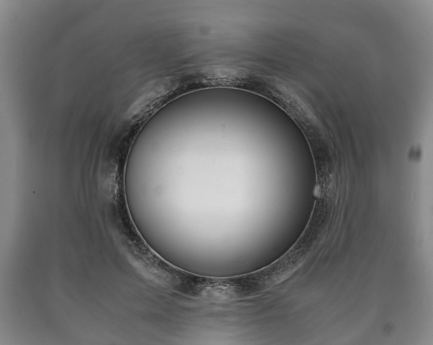 X0000090700599200707271110