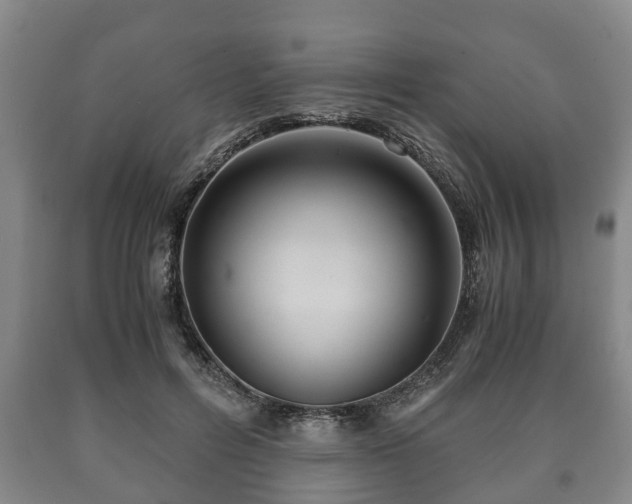 X0000090700600200707271110