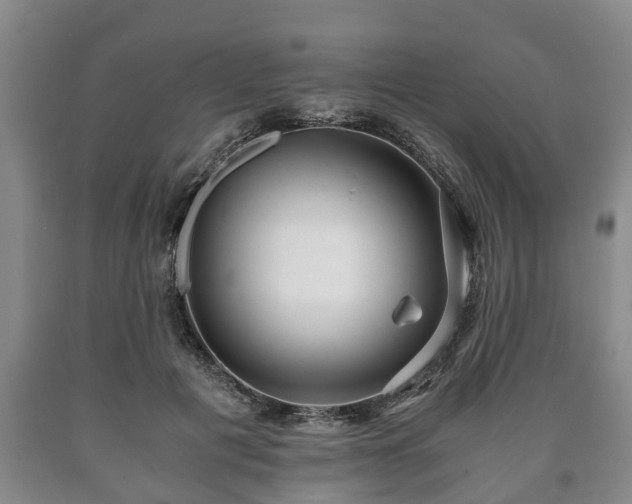 X0000090700601200707271110