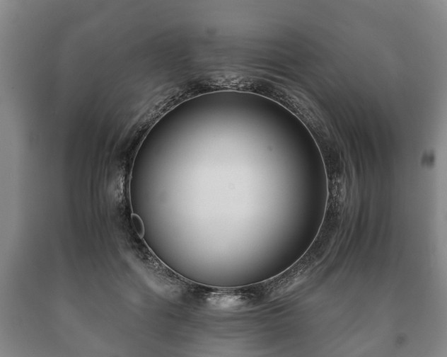 X0000090700602200707271110