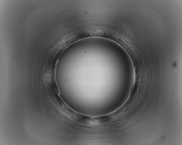 X0000090700604200707271110