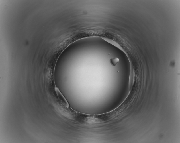 X0000090700605200707271110