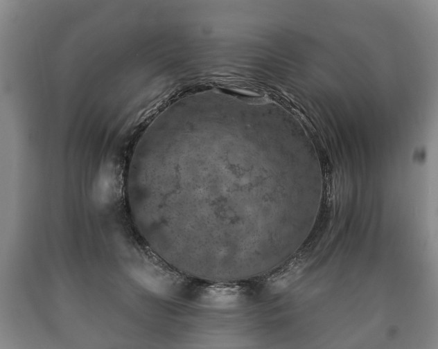 X0000090700606200707271110