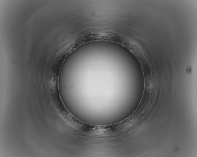 X0000090700607200707271110