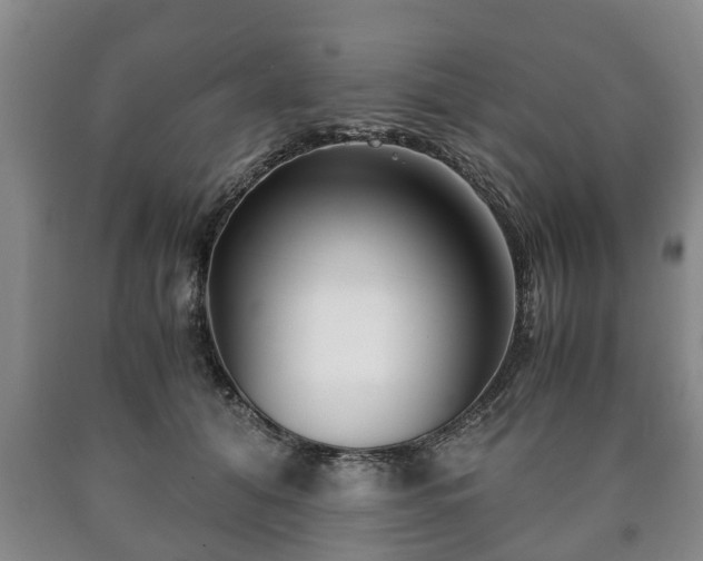 X0000090700608200707271110