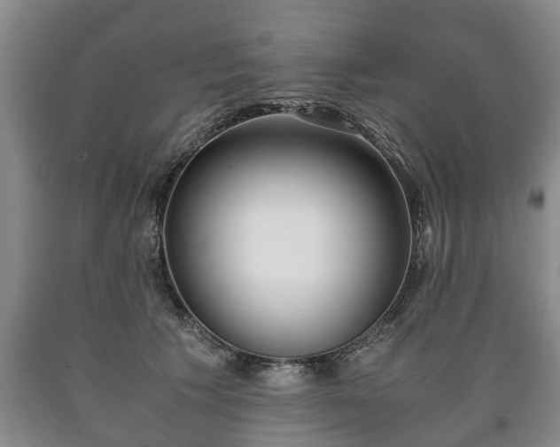 X0000090700609200707271110