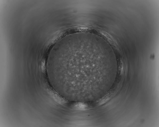 X0000090700610200707271110