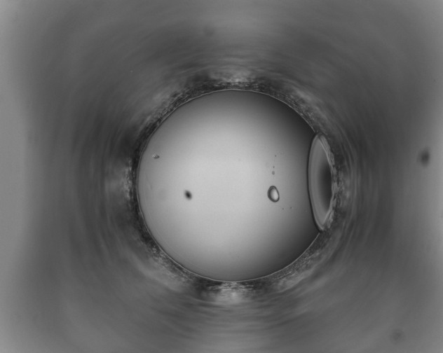 X0000090700612200707271110