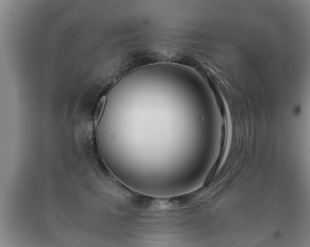 X0000090700613200707271110