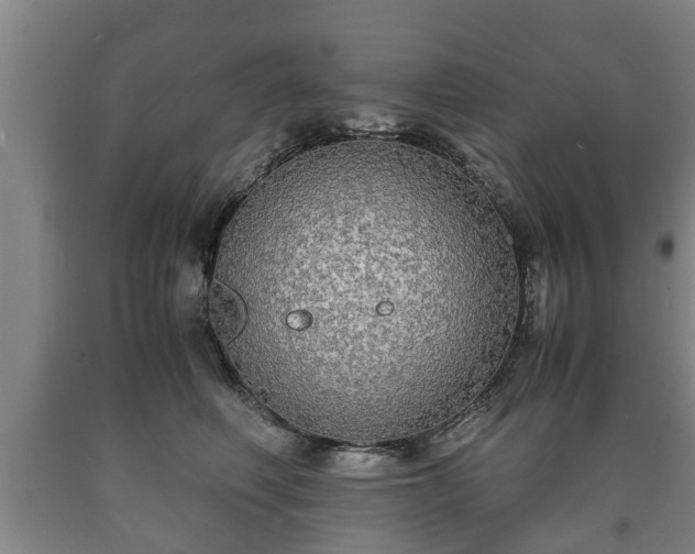 X0000090700614200707271110