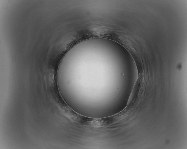 X0000090700615200707271110