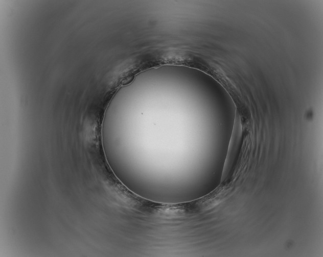 X0000090700619200707271110